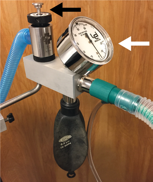 Bain non-rebreathing circuit (NRC) adapter with in-circuit manometer (white arrow) and safety pop-off valve (black arrow).  Courtesy of Heidi Shafford, published in the Journal of Feline Medicine and Surgery, 2018;20:602-34