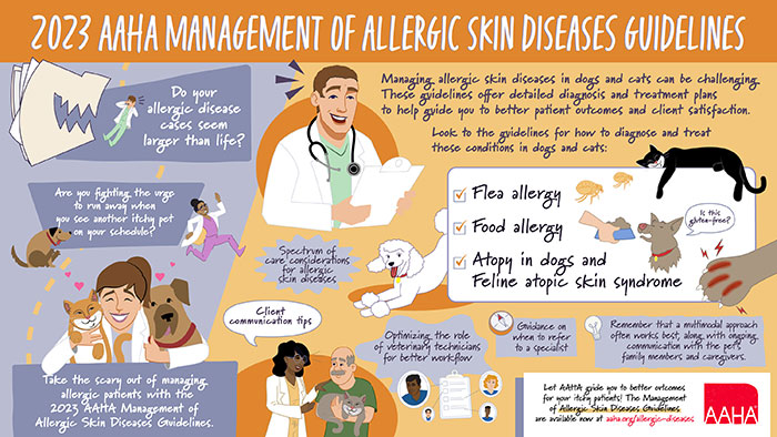 2023 AAHA Management of Allergic Skin Diseases in Dogs and Cats Guidelines Inforgraph