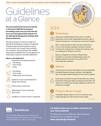 Guidelines at a Glance Preview Image