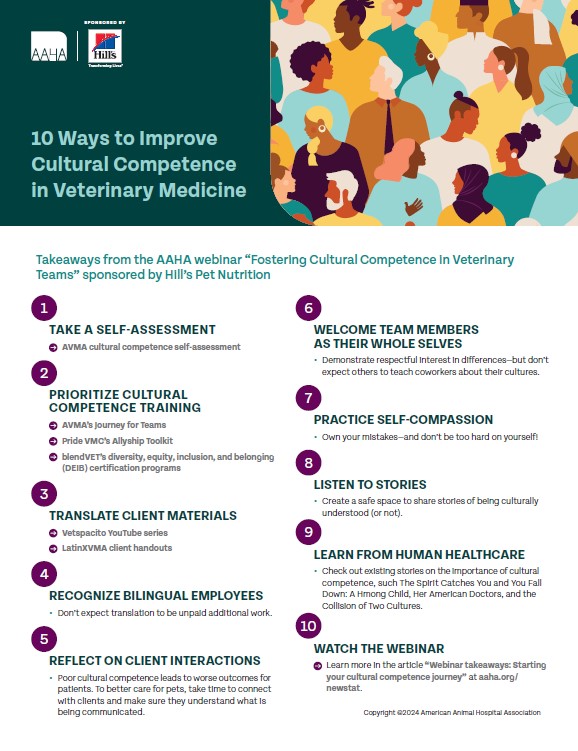 10 ways to improve cultural competence in veterinary medicine
