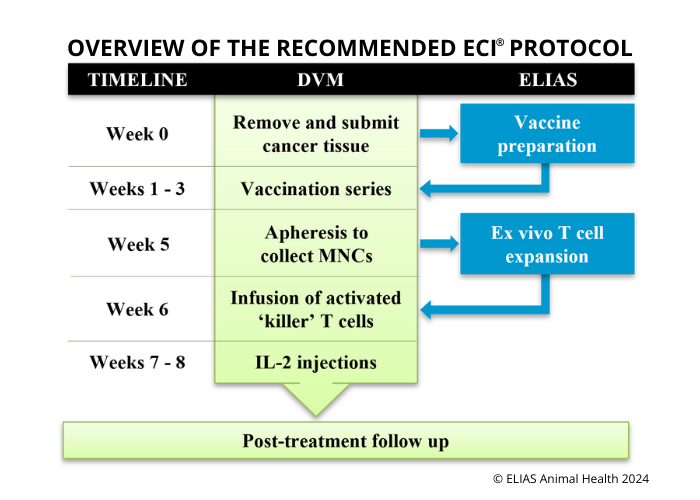 ECI Protocol Schematic_Feb 2024.png