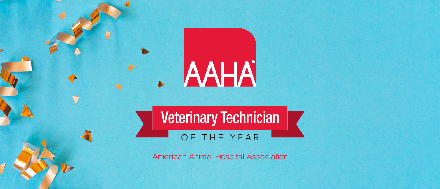 AAHA Veterinary Technician of the Year logo over a festive background