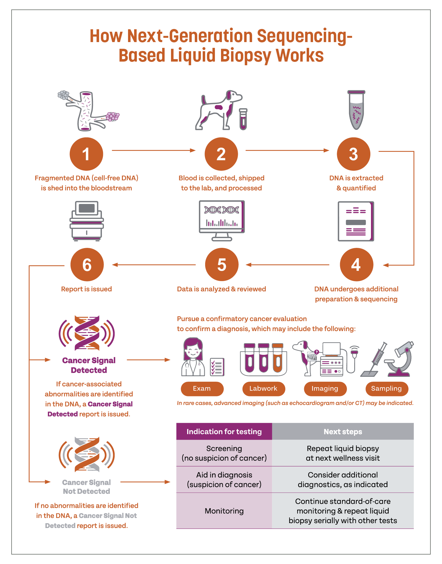 Infographic showing how liquid biopsy works