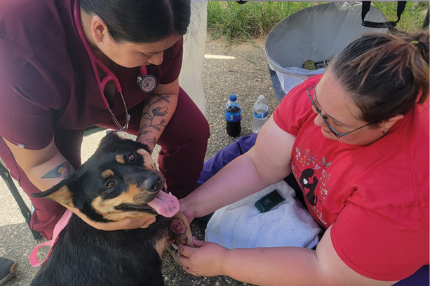 Summer Lara on left and Dr. Raye Taylor examining a dog