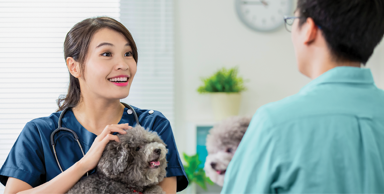 Veterinary technician holding dog and talking to client