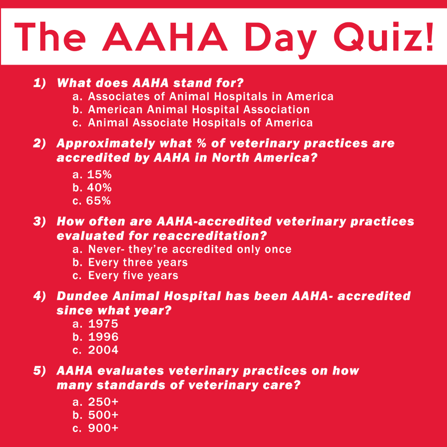 Dundee Animal Hospital’s short and informative AAHA Day quiz.