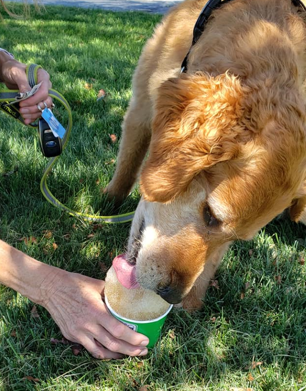 Happy pup eats a "dog ice" of chicken or beef broth at Scott County Animal Hospital PC