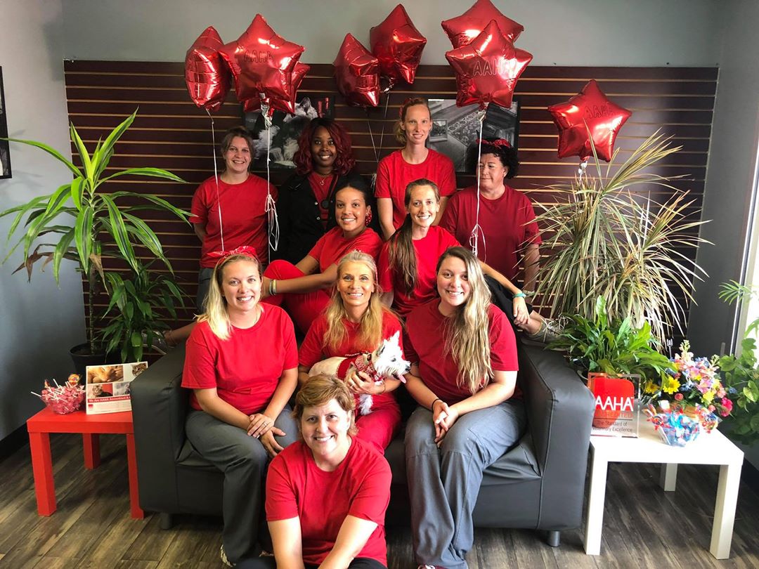 Group photo of the team at Peninsula Veterinary Services in Millsboro, Delaware all dressed in AAHA red!