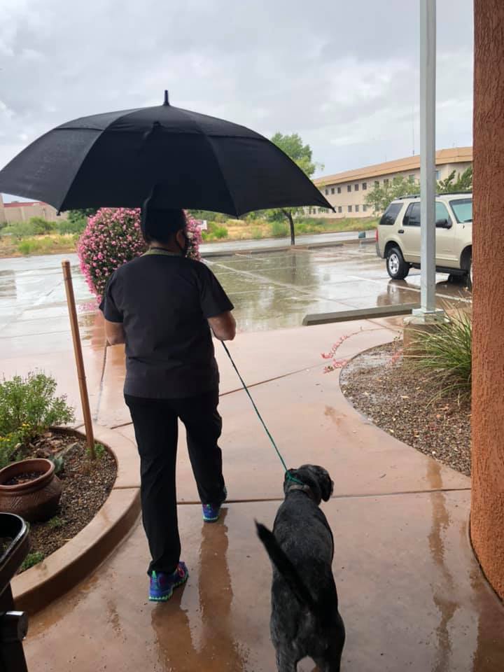 AAHA-accredited practice team member waiting outside in the rain for a curbside appointment