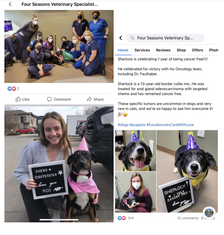 Social media post about a dog who finished chemo