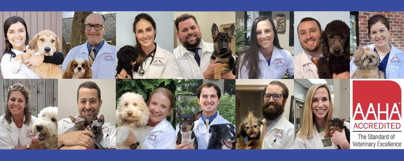 Lafayette Veterinary Care Center doctors