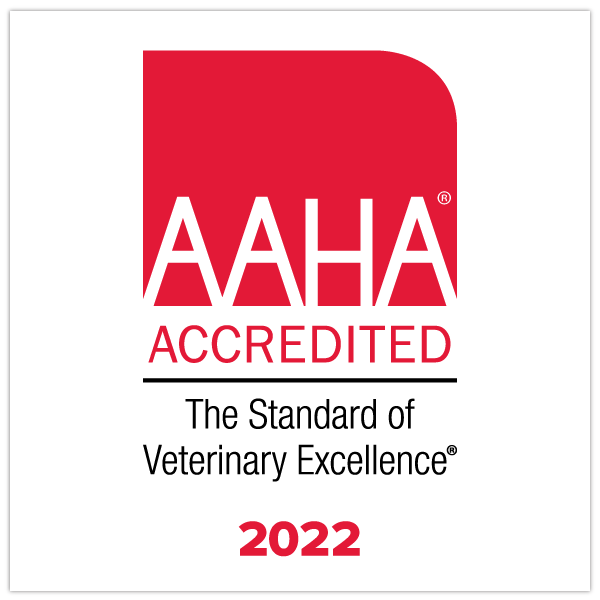 AAHA-Accredited-Credly-Badge-2022.png