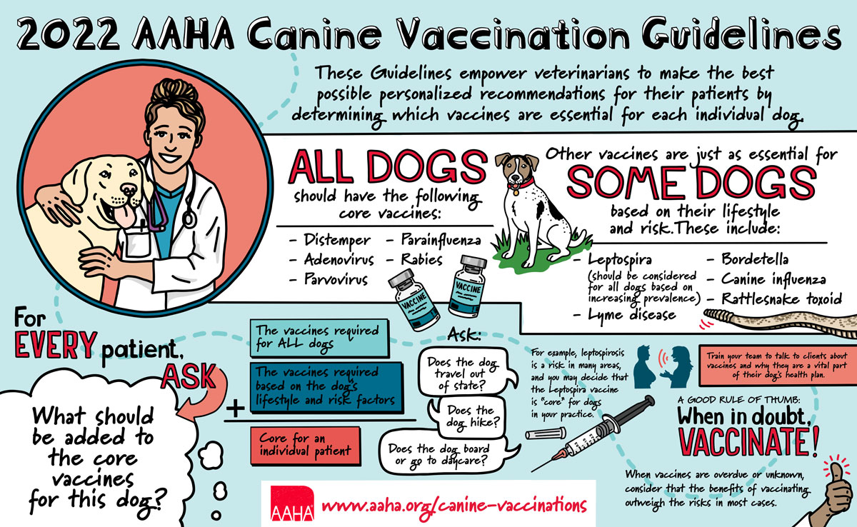 Canine Vaccination Infographic
