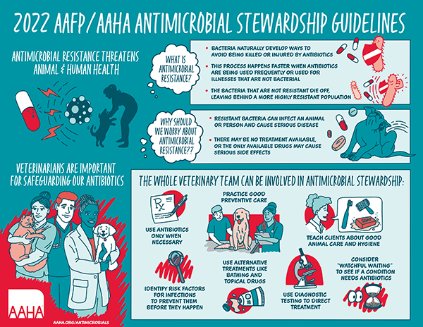 AAHA_antimicrobials_Final.jpg