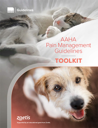 AAHA Pain Management Guidelines Toolkit