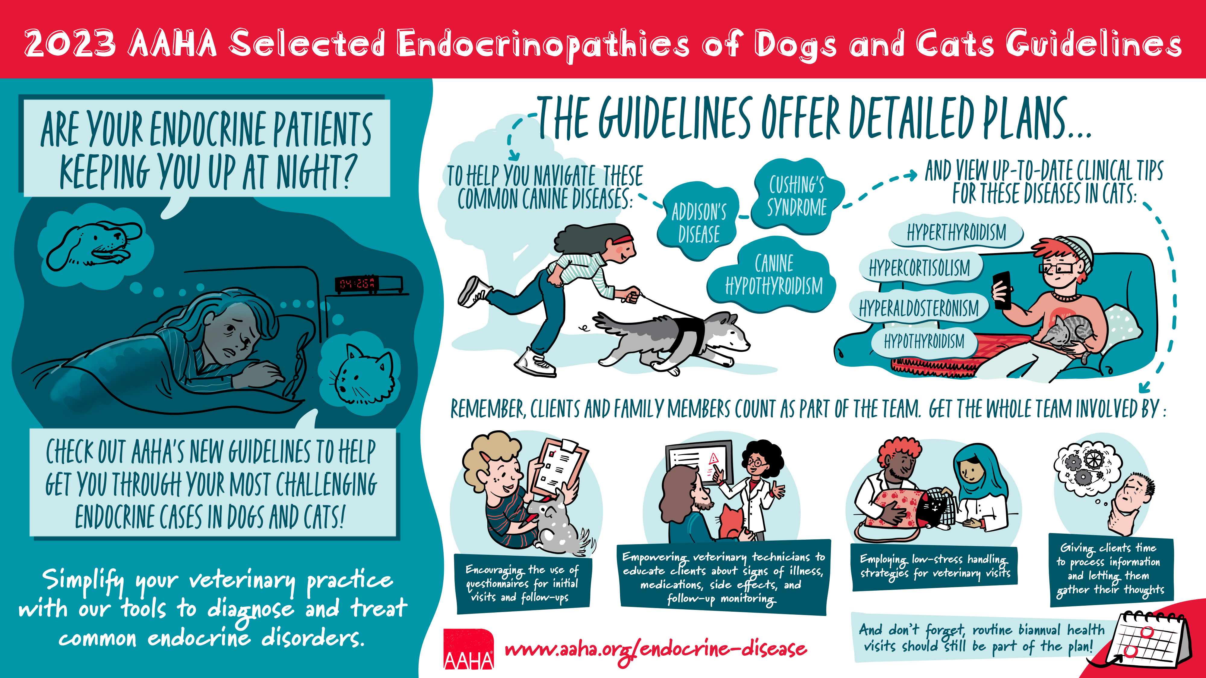 Endocrinopathies Guidelines Inforgraph