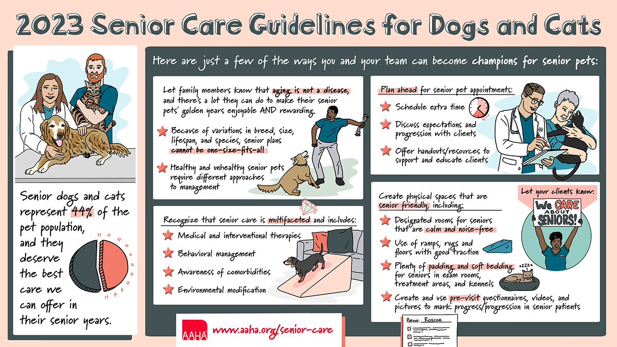 Senior Care Guideline at a Glance