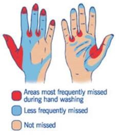hand_washing_image.jpg