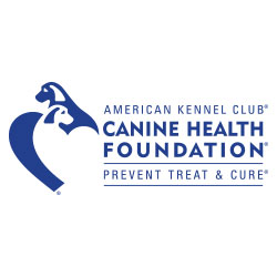 American Kennel Club Canine Health Foundation