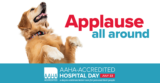Applause all around-AAHA Day-publicity toolbox.png