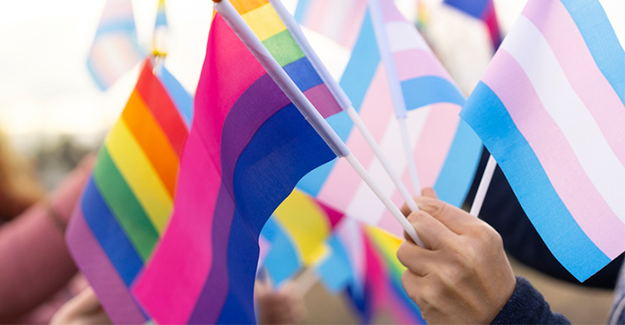 Seymour-PrideVMC Gender Diversity Guide-GettyImages-1297981850-Epi.png