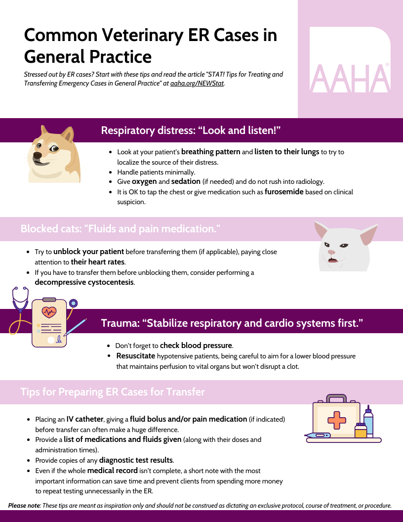 Dec23-AAHA NEWStat Veterinary ER tips for GPs.png