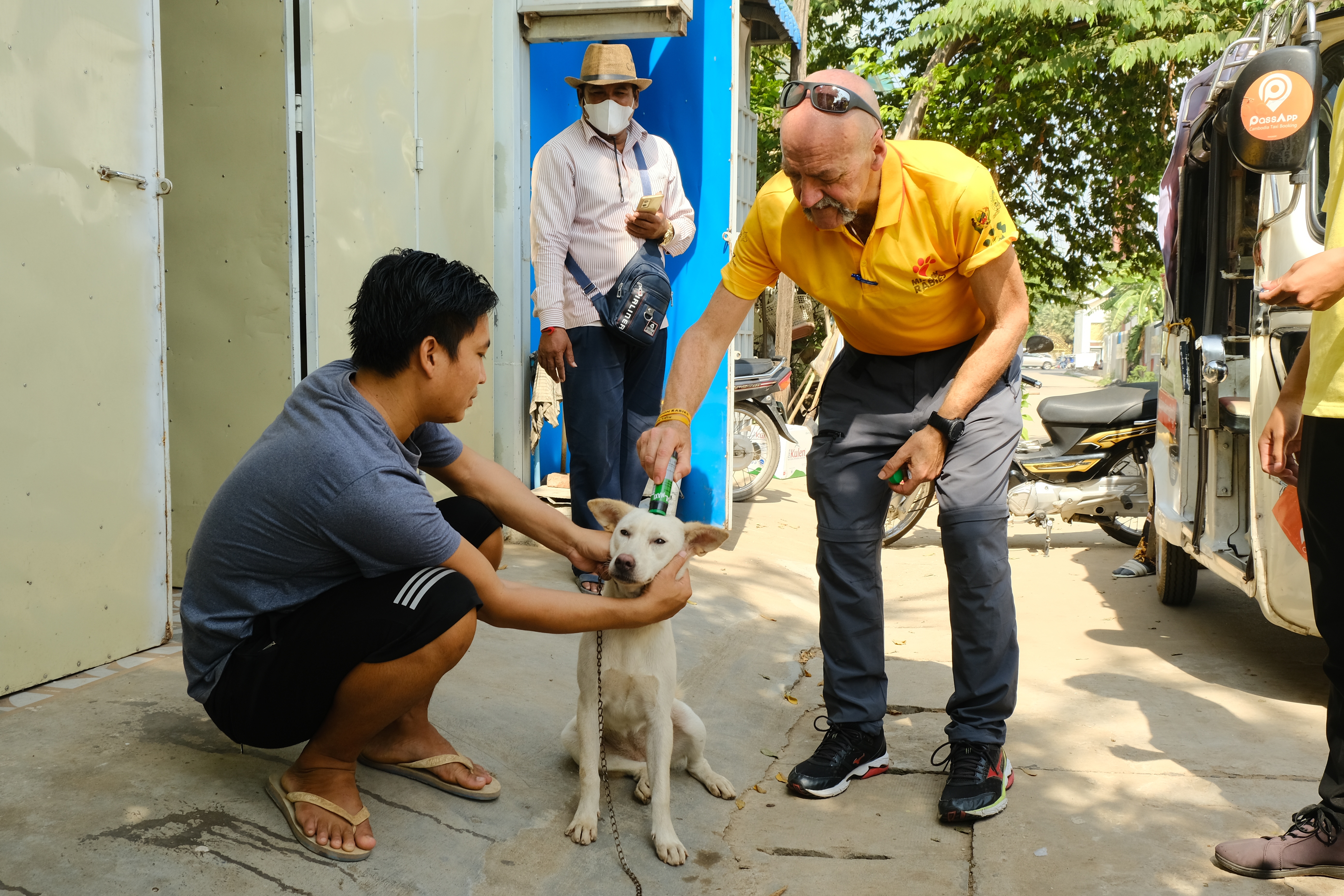 Mission Rabies-Dog being marked with animal friendly paint post vaccination- Credit WVS.jpg