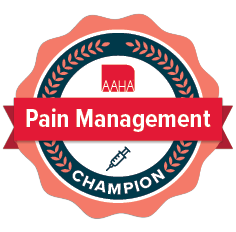 Pain management certificate badge