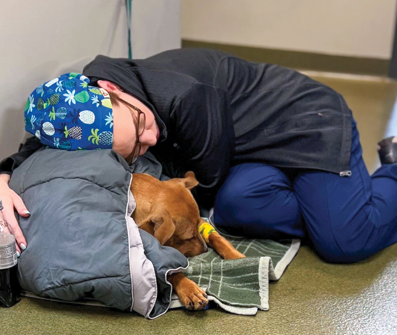 Jennifer Popejoy, CVT, comforts a patient who is recovering from surgery