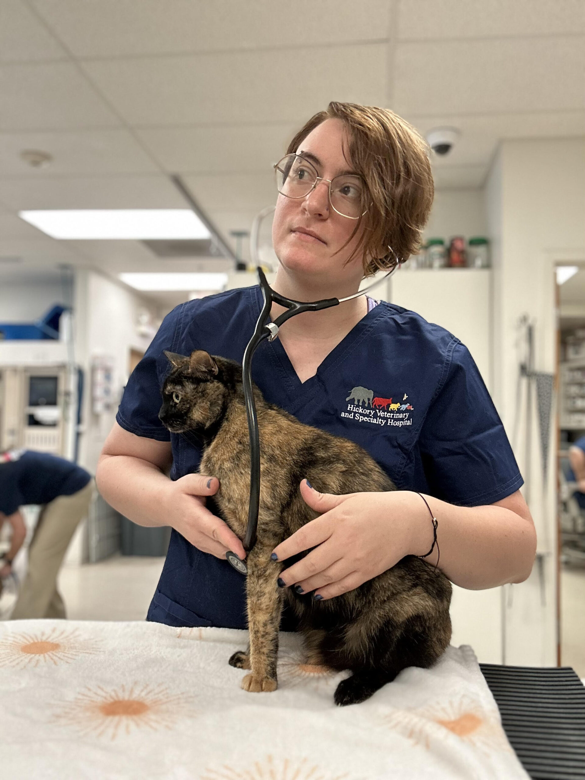 Sept23-McNerney-Vet teams IRL-Liz 1.jpg