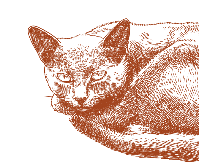 GettyImages-1173426119_[Converted].png