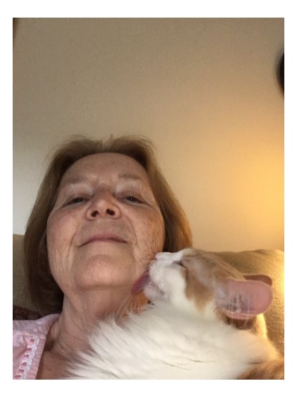 Dec23-Reeder-Cat fostering study-4.jpg