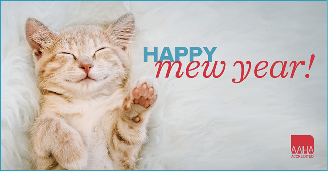 01-01-mew-year-FB.jpg