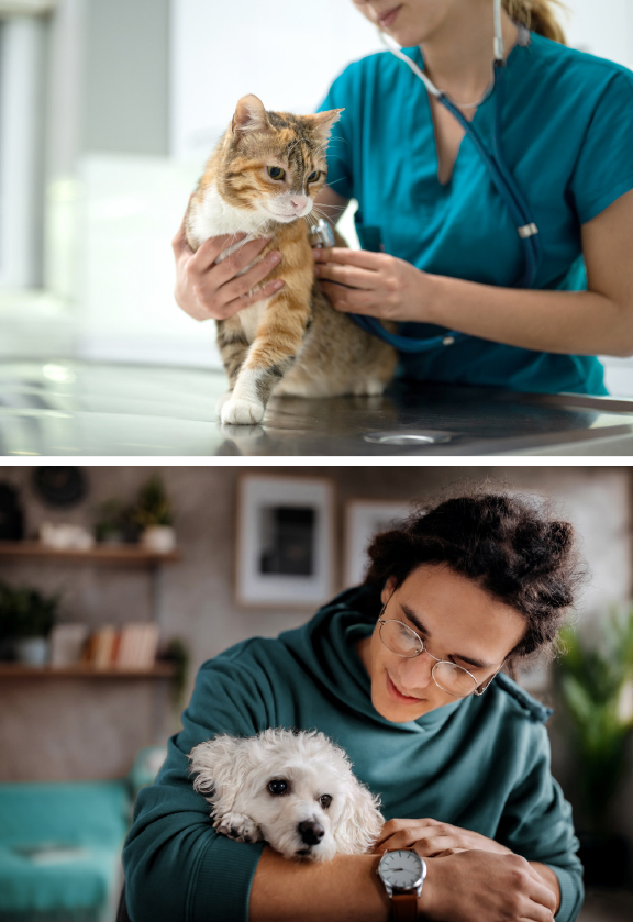 endocrine.jpg