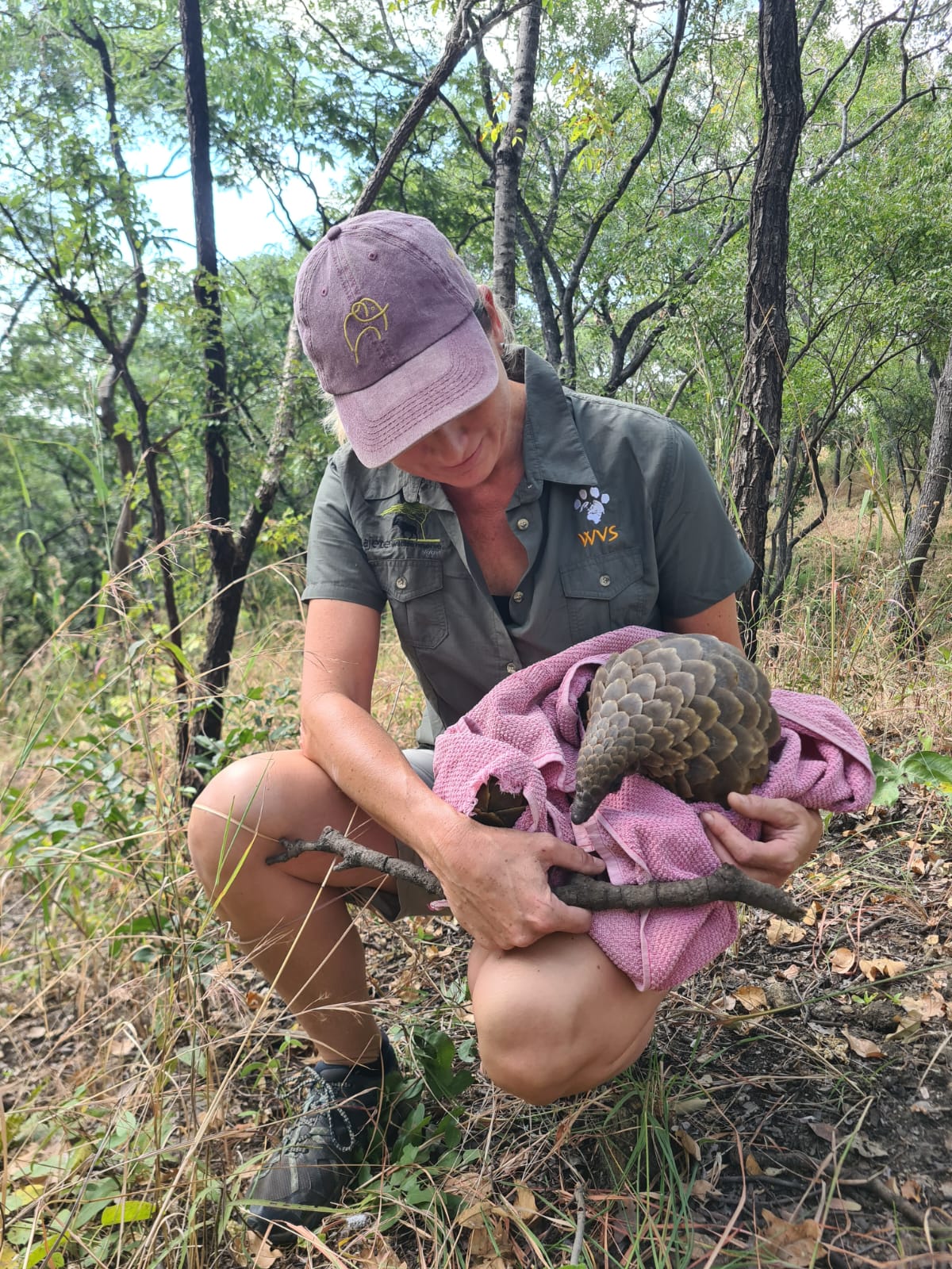 Sept23-Singler-pangolins6