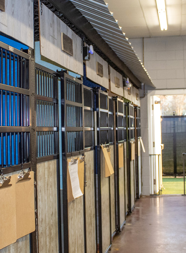 Harbor Point Animal Hospital boarding runs