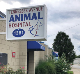 TennesseeAveAnimalHospital-IMG_2794.jpg