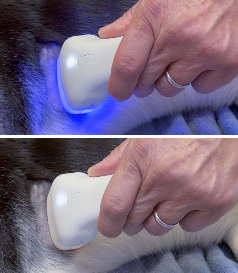 HT Vista during heating phase (top image) and scanning phase (bottom image)