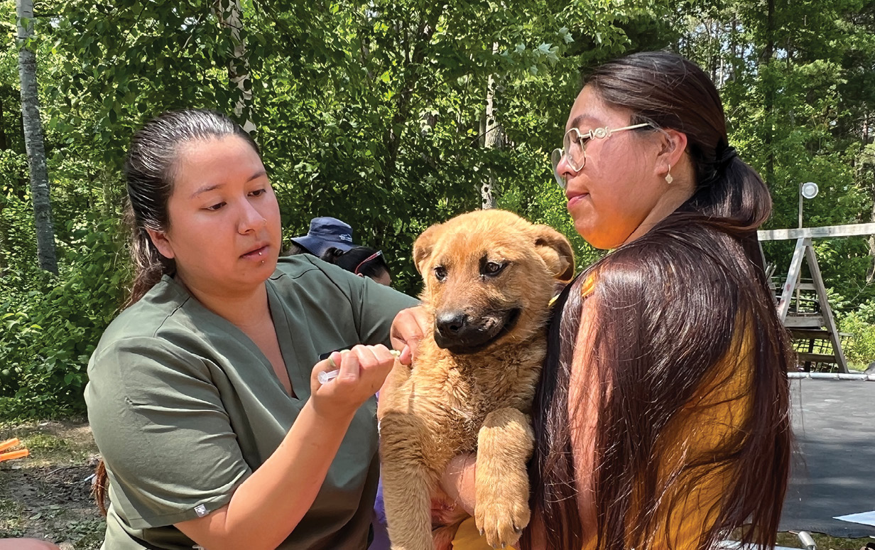 Summer Lara giving dog vaccine