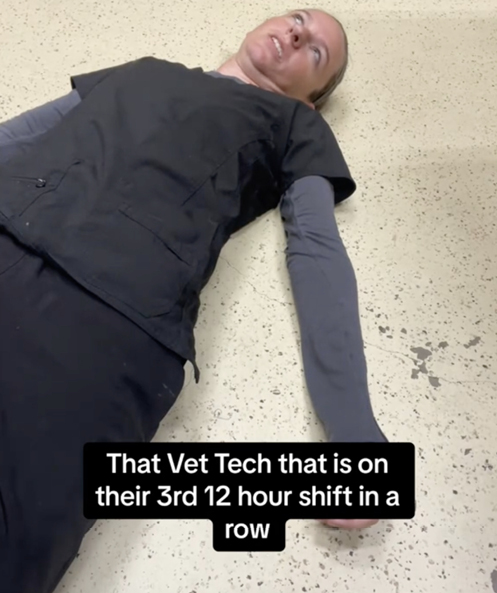 TikTok social media post of Sarah Parson, LVT 