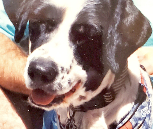 Tucker_photo_courtesy_of_Karen_Loggins.jpg