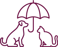pet-insurance.png