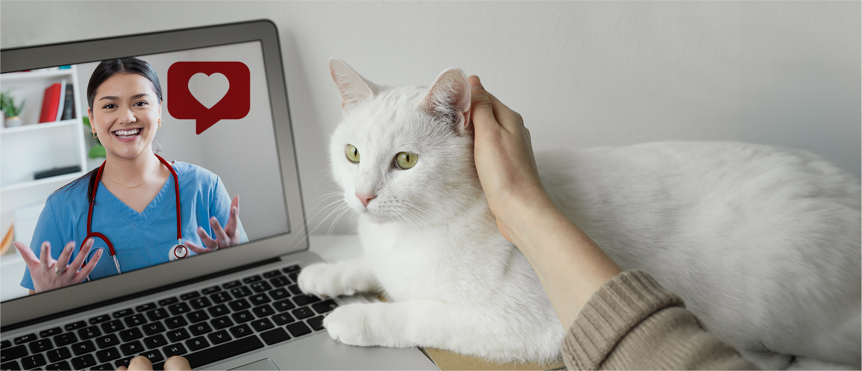 Client and cat on a telehealth call with a veterinary technician