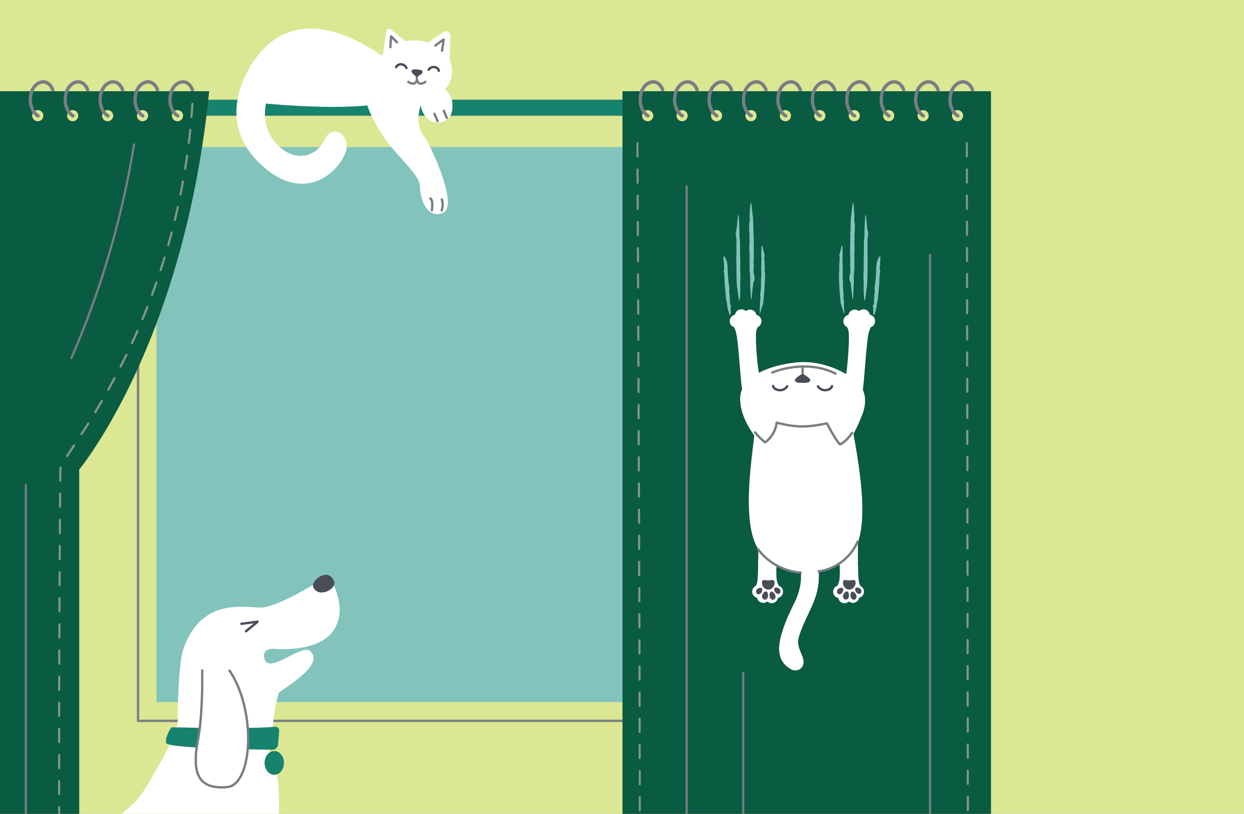 F1_CatOnCurtains.png