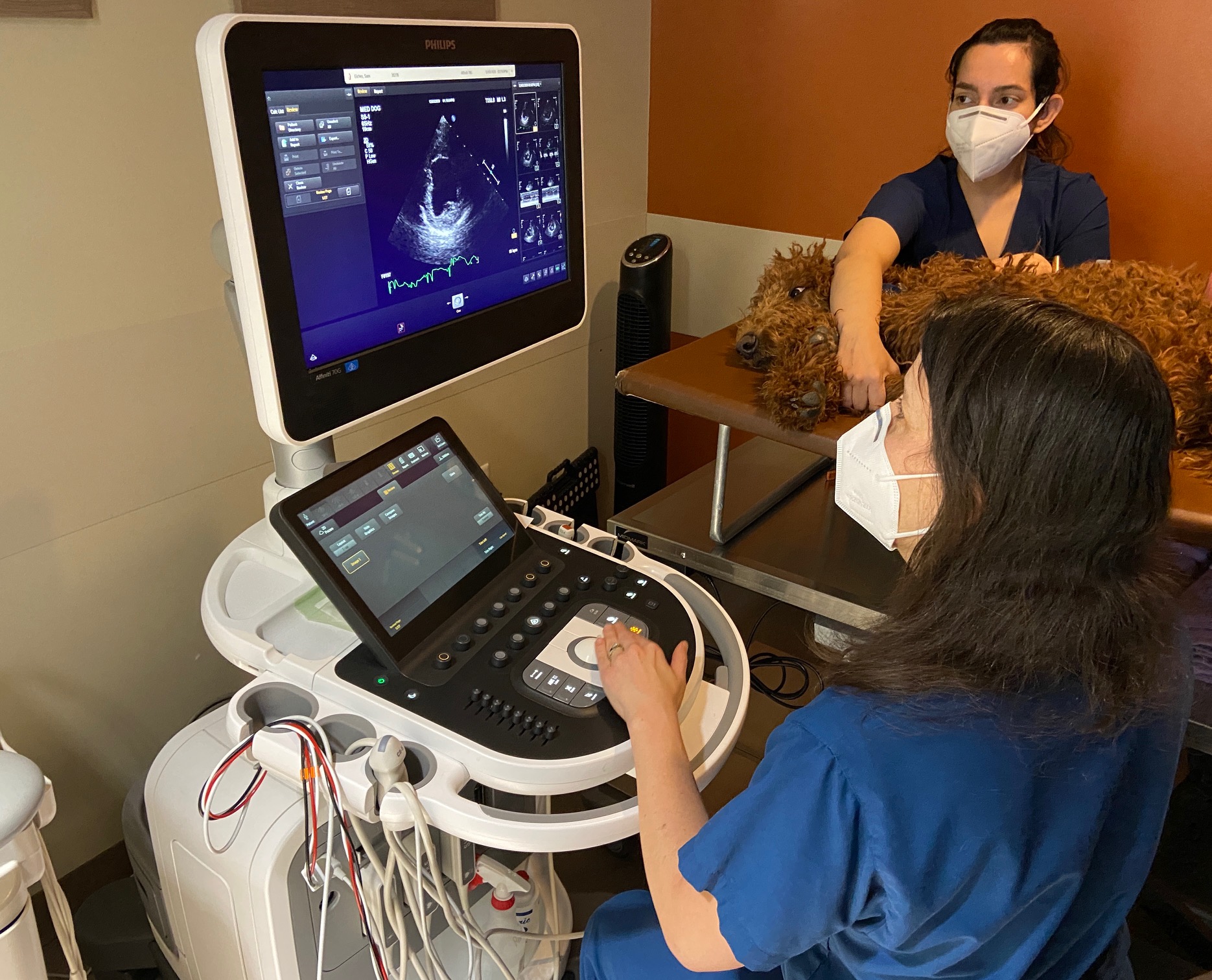 Cardiologist and tech