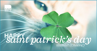 3-Mar-st-patricks-day-FB.jpg