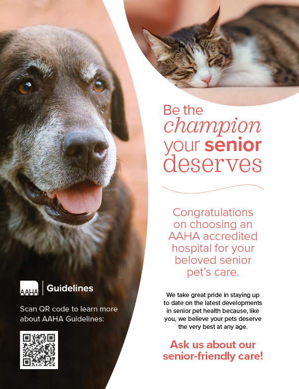 GL_Senior_Care_Client-Facing.jpg
