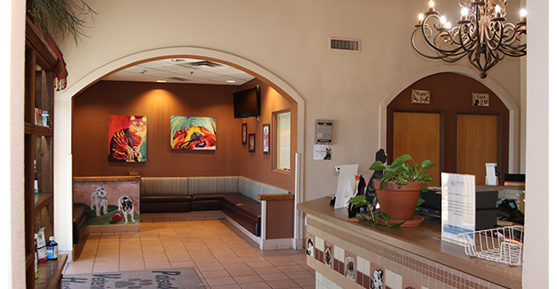 Sept23-APOY3-Palisades-reception-Epi.png