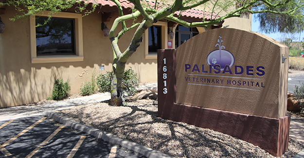Sept23-APOY3-Palisades-sign-Epi.png
