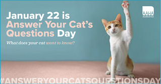 01-22-cats-question-FB.jpg